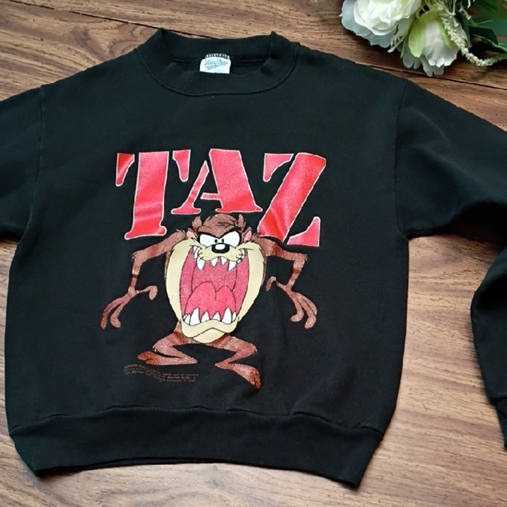 🌪️Vintage Black Taz Graphic Sweater Youth Medium 8-10